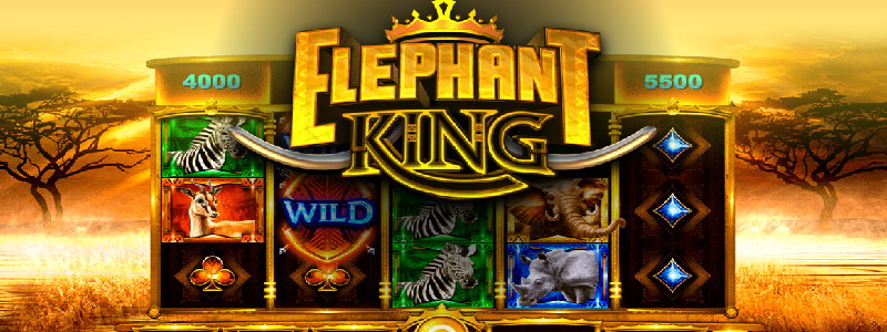 Play Elephant King At Blighty!
